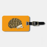 Cute hedgehog