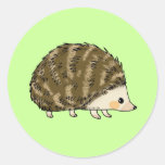 Cute hedgehog round sticker