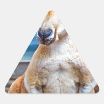 Cute Kangaroo Sticker