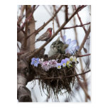 Cute kitten and bird nest Easter postcard