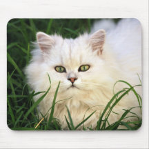 Cute Kitten resting Mouse Mats