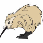 Cute Kiwi Cut Out