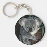 Cute Koala Bear Key Chain