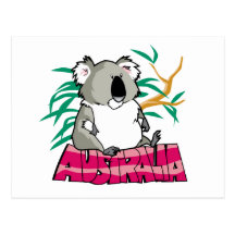 Cute Koala Post Card