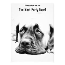 Cute Mastiff dog Custom Invitation