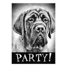 Cute Mastiff puppy dog Custom Announcement