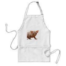 Cute newborn sphynx kitten apron
