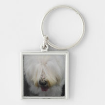 Cute Old English Sheepdog Keychain