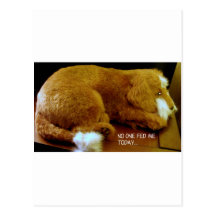 CUTE PUPPIES POSTCARD