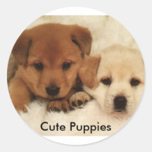 Cute Puppies Round Stickers