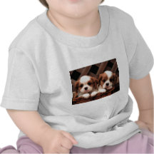 Cute puppies t shirts