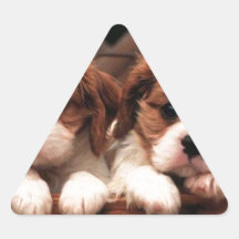 Cute puppies triangle stickers