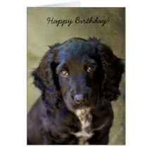 Cute Puppy card