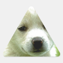cute-puppy-dog-wallpapers.jpg stickers