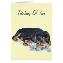 cute puppy rottweiler with teddy bear card
