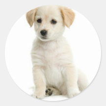 cute puppy stickers