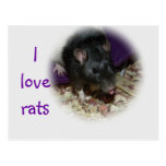 Cute rat sticking out his tongue post card