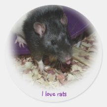 Cute rat sticking out his tongue stickers