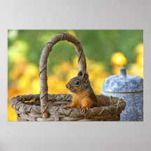 Cute Squirrel in a Basket Print