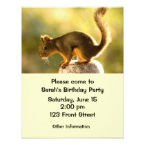 Cute Squirrel on a Cookie Jar invitations