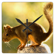Cute Squirrel on a Cookie Jar wall clocks