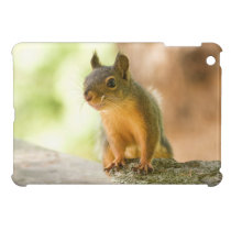Cute Squirrel Smiling ipad mini cases