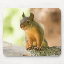 Cute Squirrel Smiling mousepads