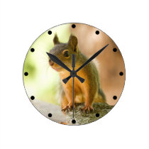 Cute Squirrel Smiling wall clocks