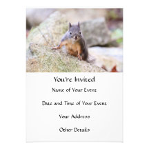 Cute Squirrel Staring Invitations