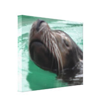 Cute Swimming Sea Lion Digital Art Canvas Prints
