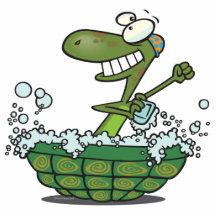cute turtle bathing in his shell tub scrub a dub photo sculptures
