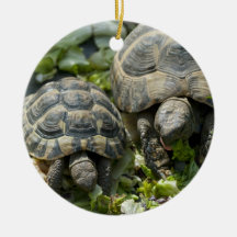 Cute Turtles Christmas Tree Ornaments