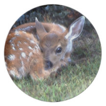 Cute White-Tail Deer Fawn Wildlife Art Plate