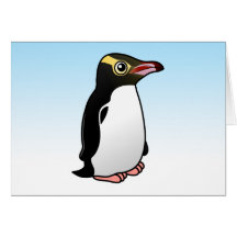 Cute Yellow-eyed Penguin Cards