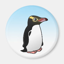 Cute Yellow-eyed Penguin Magnets