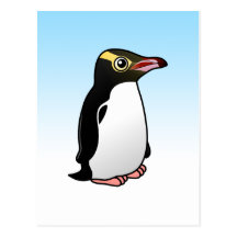 Cute Yellow-eyed Penguin Post Card