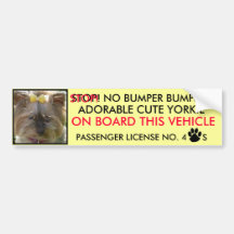 CUTE YORKIE BUMPER STICKER  (FEATURING WILLOW)