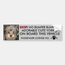 CUTE YORKIE BUMPER STICKER  (NO BUMPER BUMPING)