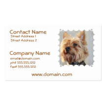Cute Yorkshire Terrier Business Cards