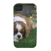 Cutest Dog In The World Is Hungry iPhone 4/4S Cases