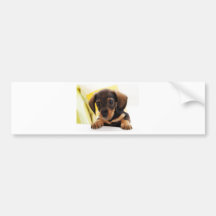 CUTEST PUPPY EVAH BUMPER STICKER