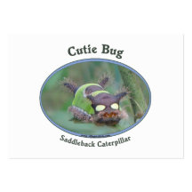 Cutie Bug Caterpillar Business Card Template