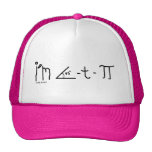 cutie pi hat