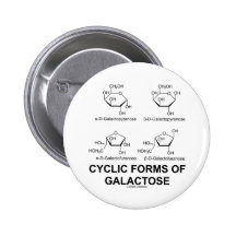 Cyclic Forms Of Galactose (Molecule Structure) Pin