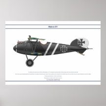 D.V Jasta 7 Print