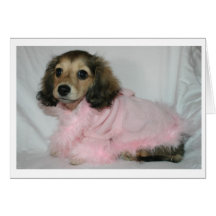 Dachshund any occasion card
