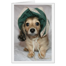 Dachshund any occasion card