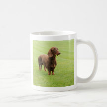Dachshund Coffee Mug