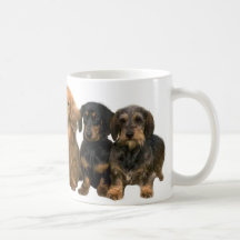 Dachshund Mug My Kids Have 4 Legs