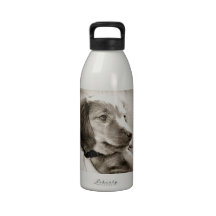 Dachshund puppy reusable water bottles